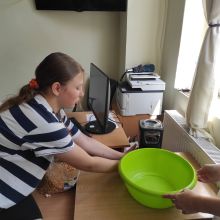 img 20250602